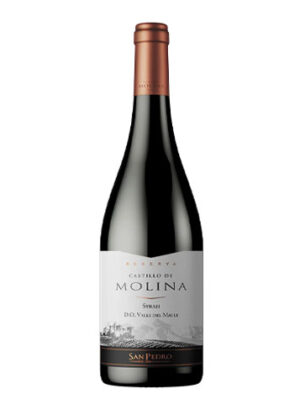 Vang Castillo De Molina Syrah