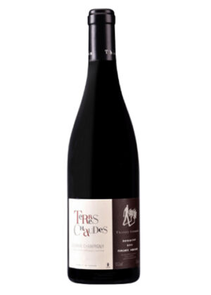 Rượu Vang Pháp Thierry Germain, Domaine des Roches Neuves, "Les Terres Chaudes", Saumur Champigny