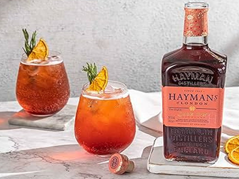 rượu gin london hayman’s sloe