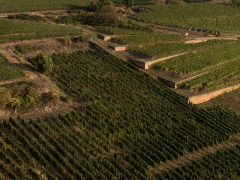 rượu vang bestheim crémant d’alsace coeur de lune