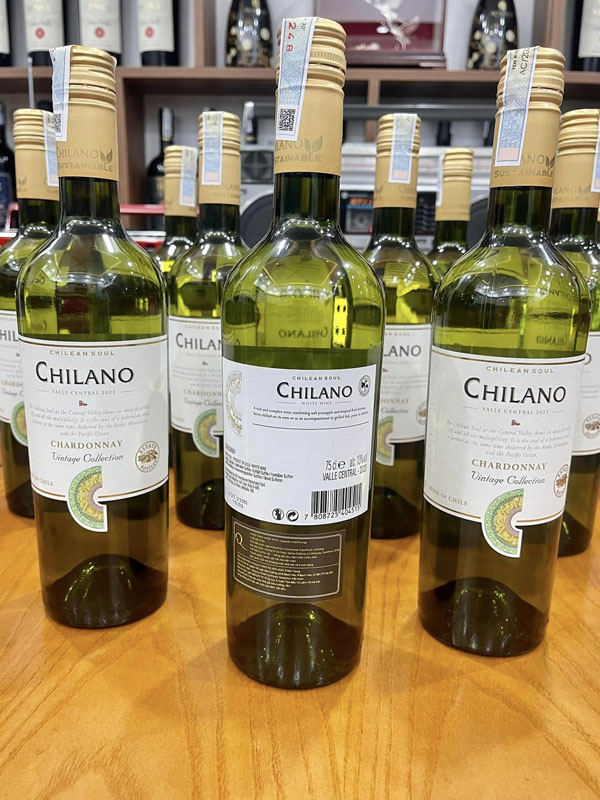 rượu vang chilano chardonnay