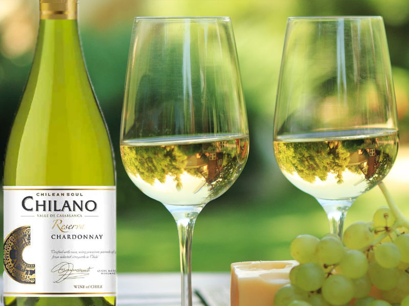 rượu vang chilano reserva chardonnay