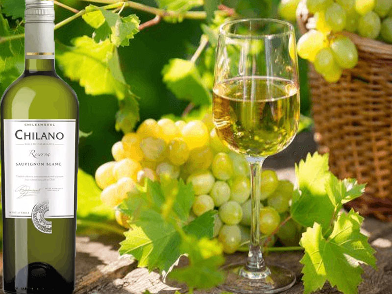 rượu vang chilano reserva sauvignon blanc