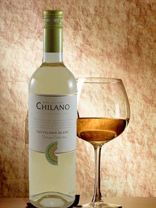 rượu vang chilano sauvignon blanc