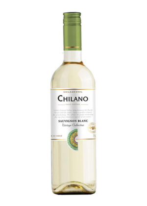 rượu vang chilano sauvignon blanc