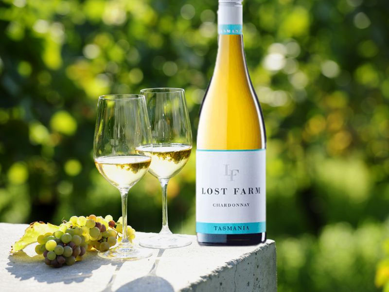 rượu vang lost farm chardonnay