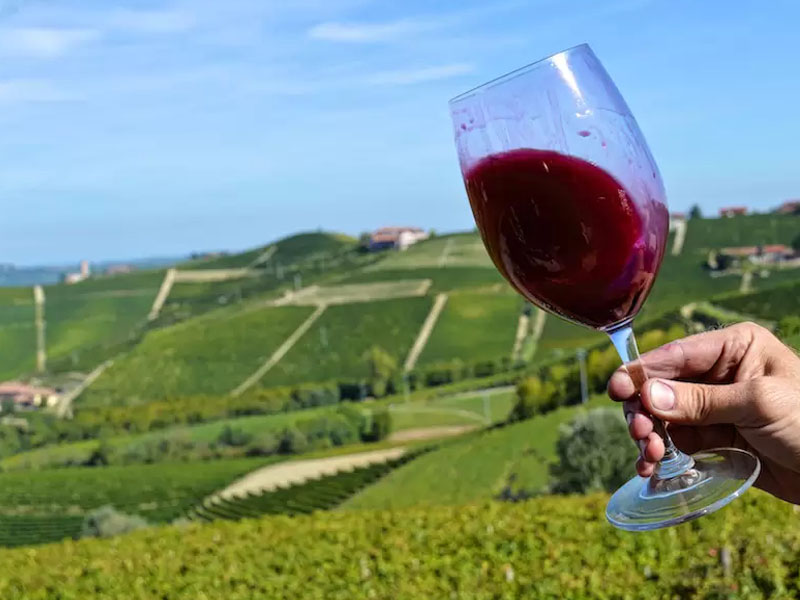 rượu vang nổ acquesi piemonte marengo