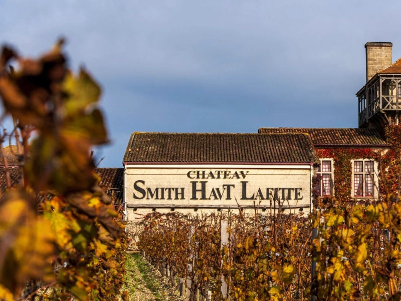 rượu vang pháp château smith haut lafitte rouge 2016