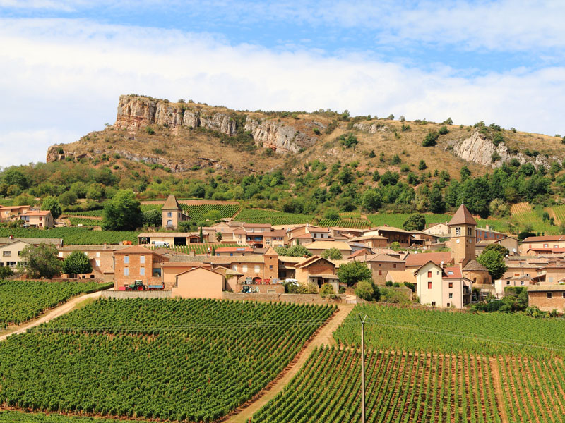 rượu vang pháp pouilly fuisse les crays deux roches