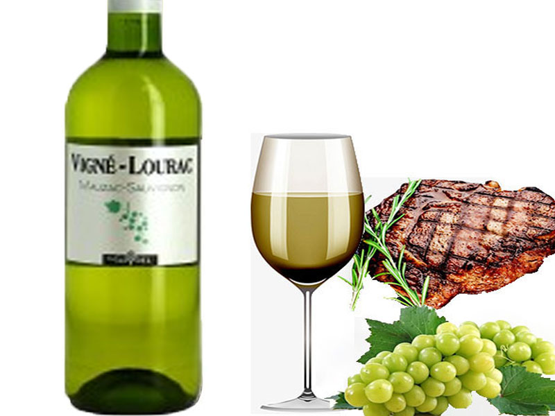 rượu vang vigne lourac colombard – sauvignon