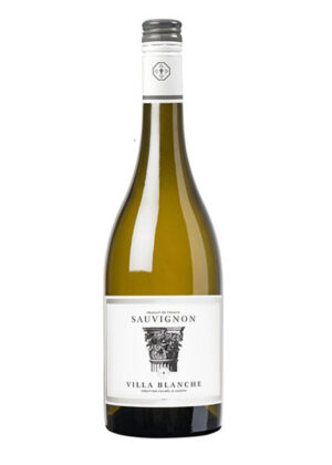 rượu vang villa blanche sauvignon blanc