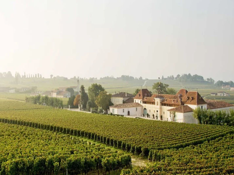 vang pháp le dome saint-emilion grand cru 2012