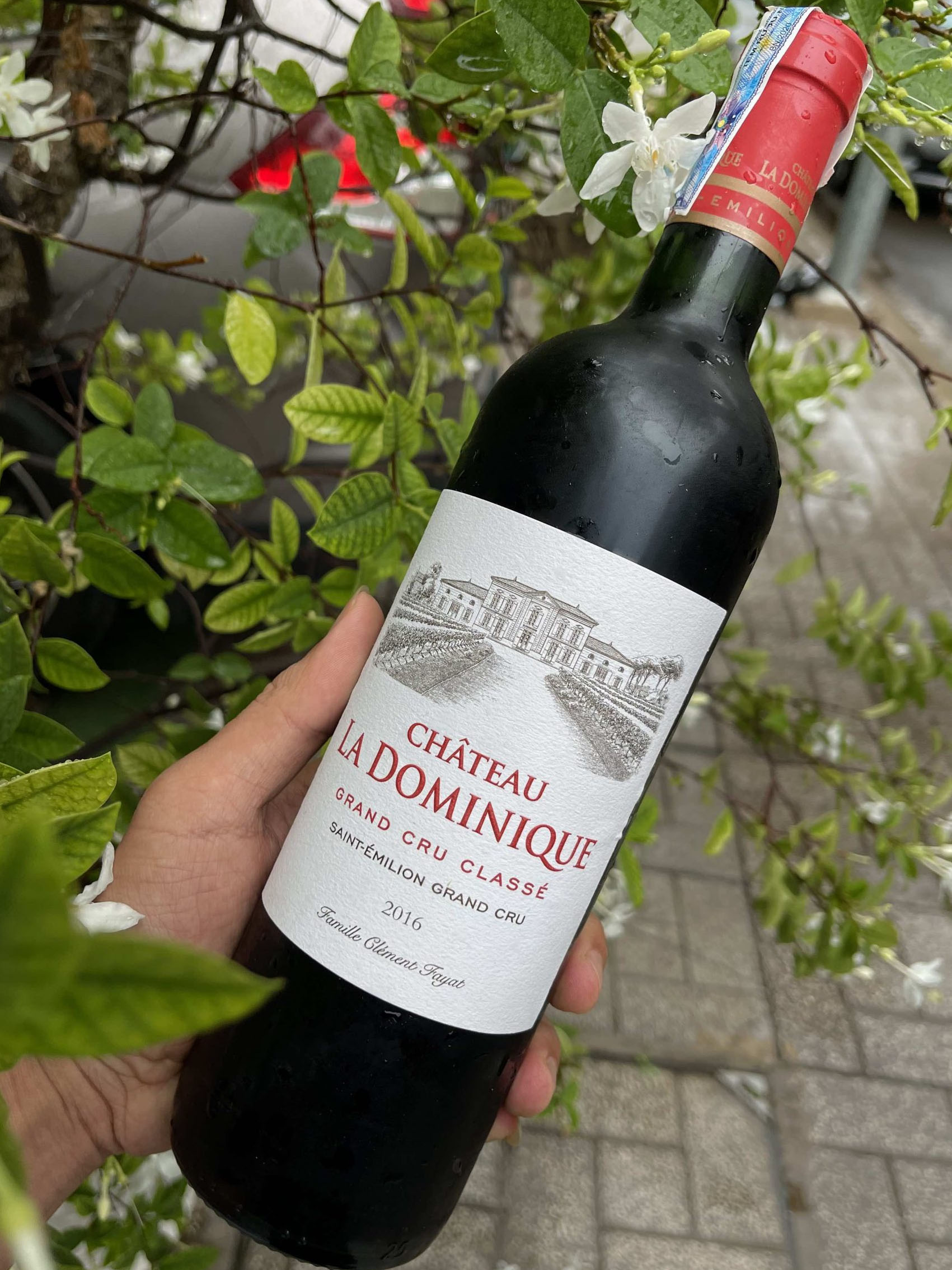 rượu vang pháp château la dominique 2016