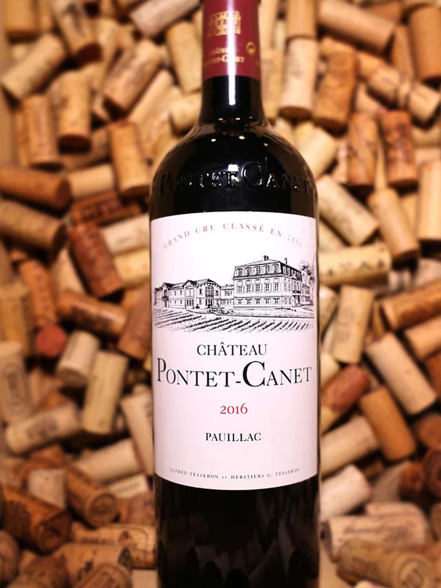 rượu vang pháp chateau pontet-canet 2016