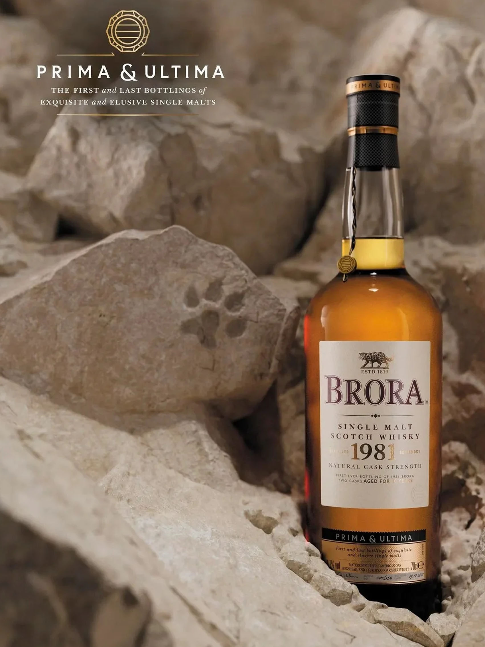 rượu whisky brora 1981