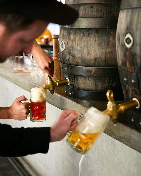 Top 5 lý do nên thử bia royal dutch 8.5% hà lan ngay hôm nay!