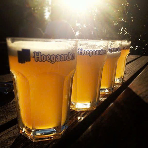 Bia hoa quả hoegaarden: Rosée, peach - chính hãng, giá tốt 2026