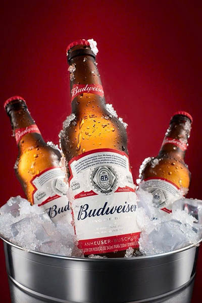 bia budweiser thùng 24 giá bao nhiêu?