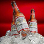 mua bia budweiser ở đâu giá tốt? bí quyết tìm mua giá rẻ!