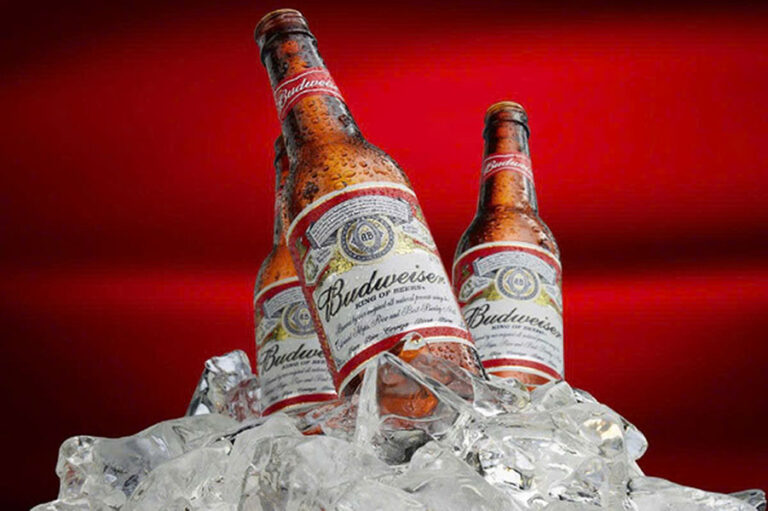 Mua bia budweiser ở đâu giá tốt? Bí quyết tìm mua giá rẻ!